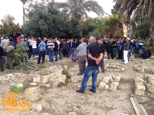 3ala2 abo rezeqs (6).JPG